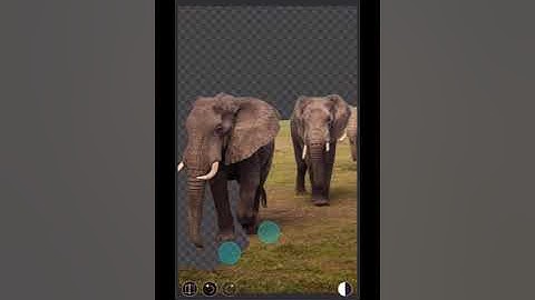 Erase background and superimpose using PhotoLeaf  Photo Editor for iPhone