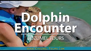 Dolphin Encounter Tour Cozumel | COZUMEL TOURS