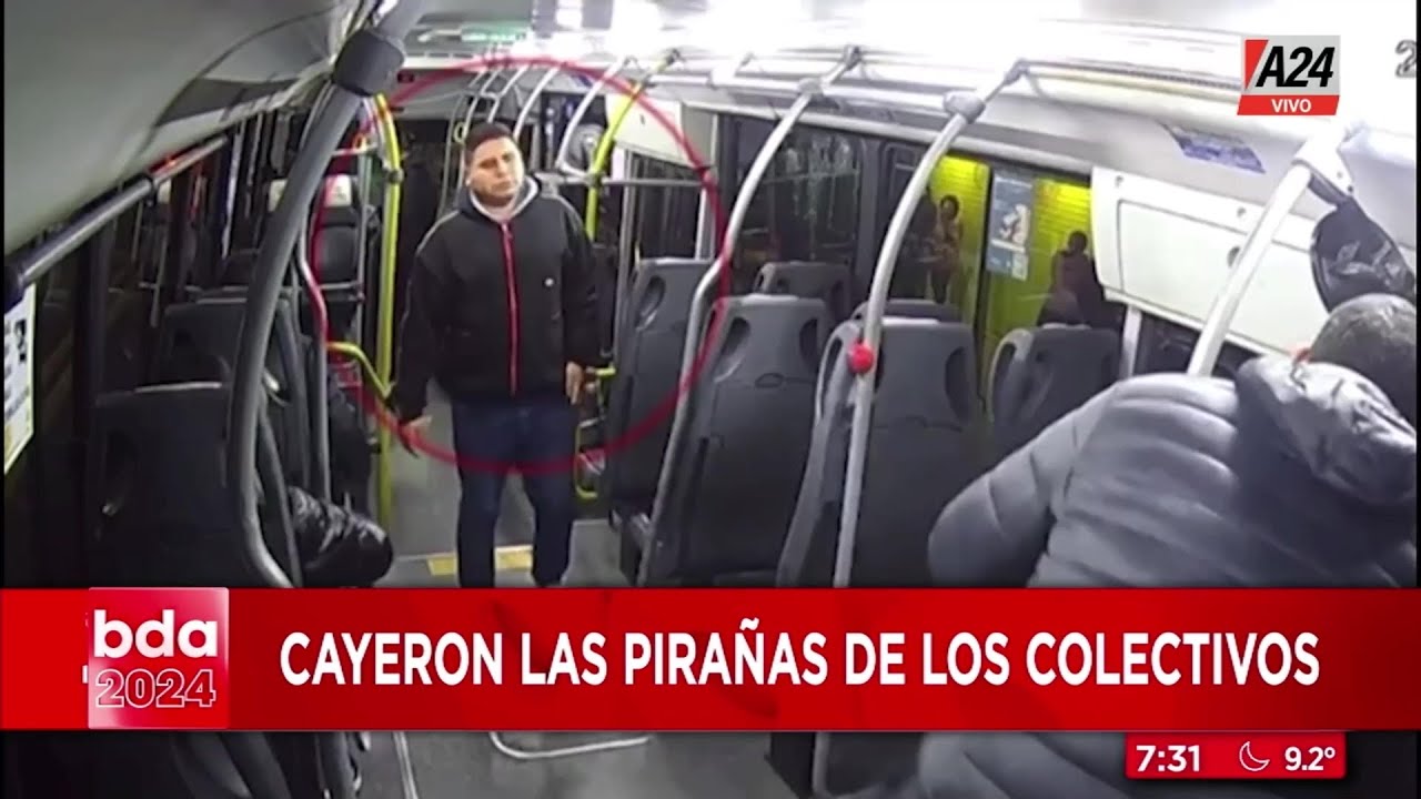 Cayeron las pirañas de los colectivos: les secuestraron casi 1.000 celulares