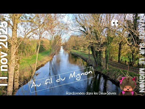 Video 3: Priaires