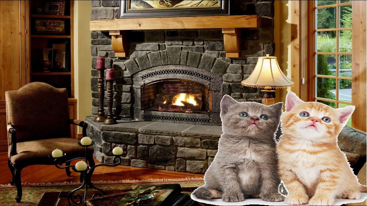 Fireplace Cozy Room and Cats Purring YouTube