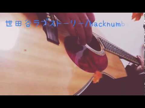 世田谷ラブストーリー/backnumber フル 【弾き語り】【歌詞あり 】covered by ハムスター