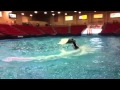 Water fills South Point Arena in Vegas - YouTube