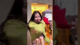 Daily Dose of Shenanigans 😅