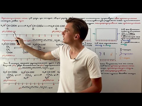 Видео: В изоэлектрической точке имеет аминокислота?