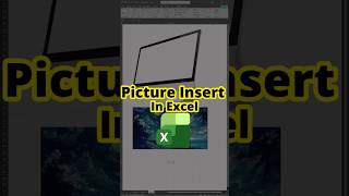 Picture Insert in Excel | Add Photo, Logo &amp; Signature in MS Excel (Step by Step)