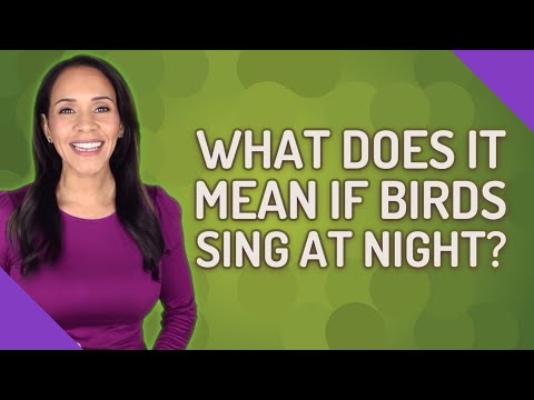 What does it mean if birds sing at night?