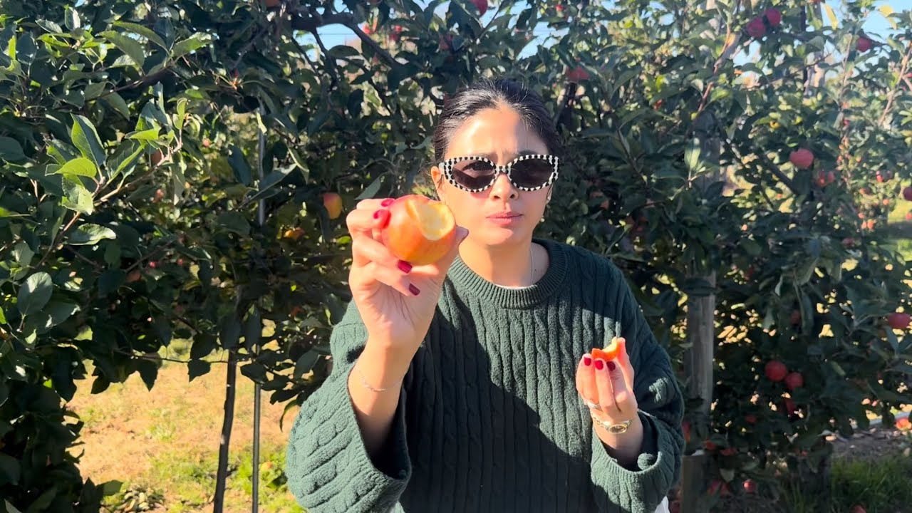 Сбор яблок в «Хэнксе»!