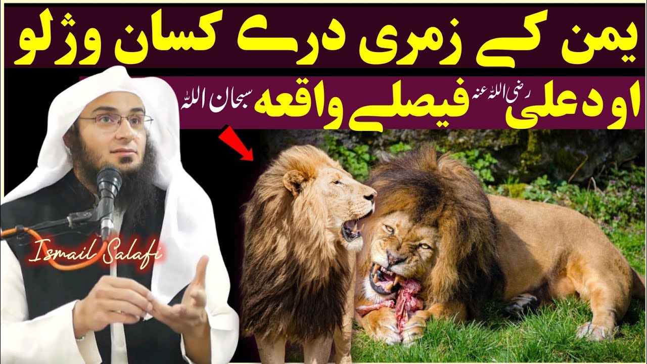 Story of a hungry lion and amazing decision by Ali RA  | Sheikh Abu Hassaan Swati 