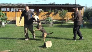 DarkFall Uma small bitework training