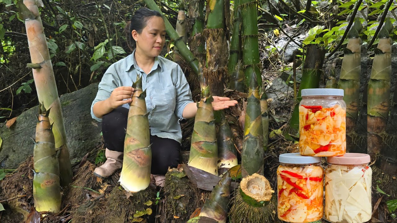 Harvesting Giant Bamboo Shoots - Processing & Making Chili Bamboo Shoots - Long Term Preservation