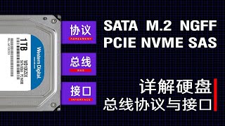 【硬件科普】硬盘的SATA M.2 NGFF NVME是什么意思，详解硬盘的总线协议与接口
