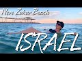 ISRAEL-Neve Zohar Beach, Dead Seal/ ІЗРАІЛЬ- Неве Зохар -пляж