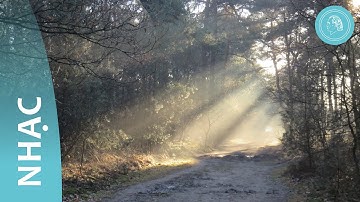 Ban phước cho chúng con – nhạc thiền và tranh thiên nhiên