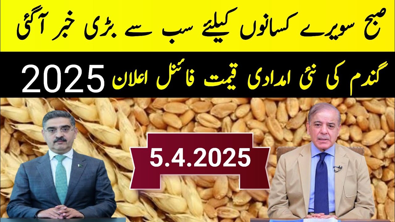 Wheat Support Price in Punjab Pakistan 2025 - YouTube