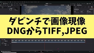 DaVinci Resolveで写真現像 Adobe DNGコンバーター