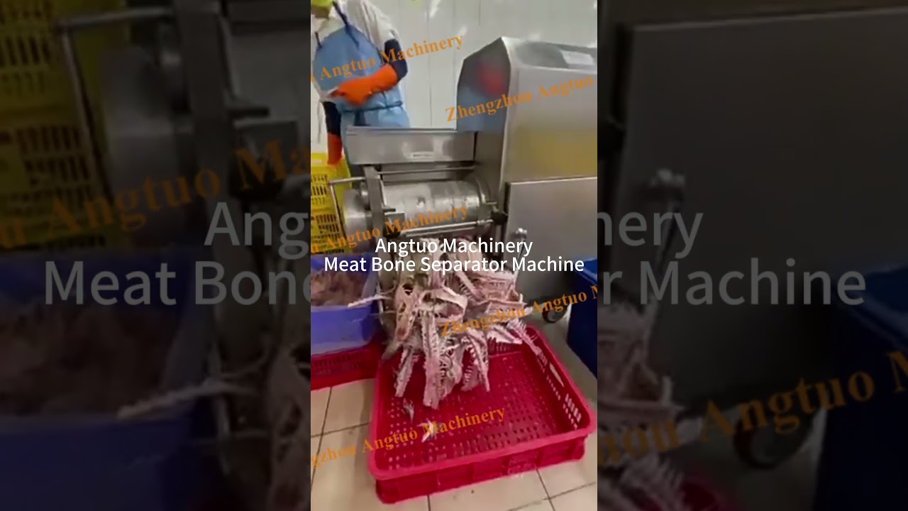 Industrial Fish Meat Separator Machine for Fish Ball and Surimi Processing