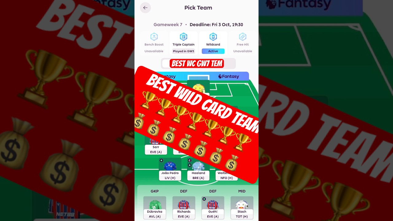 BEST WILDCARD GAMEWEEK 7 🥶🏆 