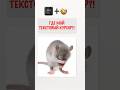 Где мой текстовый курсор?😱 Сделайте мигающую черточку в тексте заметной! ✨" #ctrlbabushka