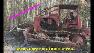 Save or Scrap? 1959 International Dozer vs. HUGE Trees!