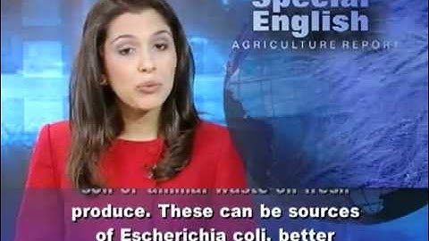 Luyện nghe tiếng Anh qua video VOA- Có phụ đề tiếng anh-Bài 3