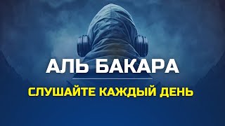 СУРА АЛЬБАКАРА ОБЯЗАТЕЛЬНО СЛУШАЙТЕ КАЖДЫЙ ДЕНЬ