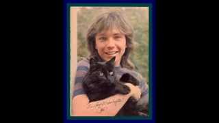 Barry Manilow  This Ones For You to David Cassidy