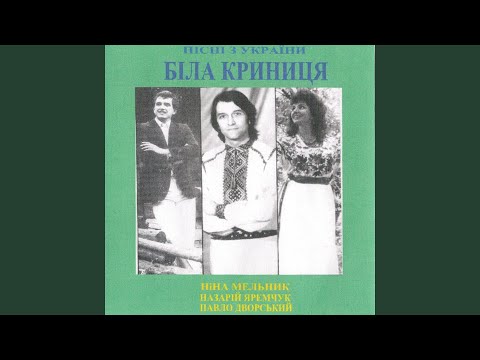 Павло Дворський, Ніна Мельник & Назарій Яремчук - Пою коні по при Дунаю