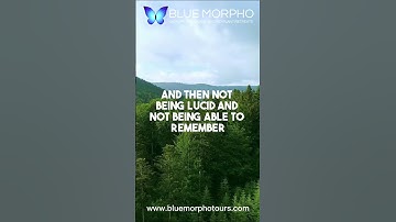 What Happens During The Ayahuasca Ceremony? #ayahuasca #warrior #spirituality  #bluemorphopodcast