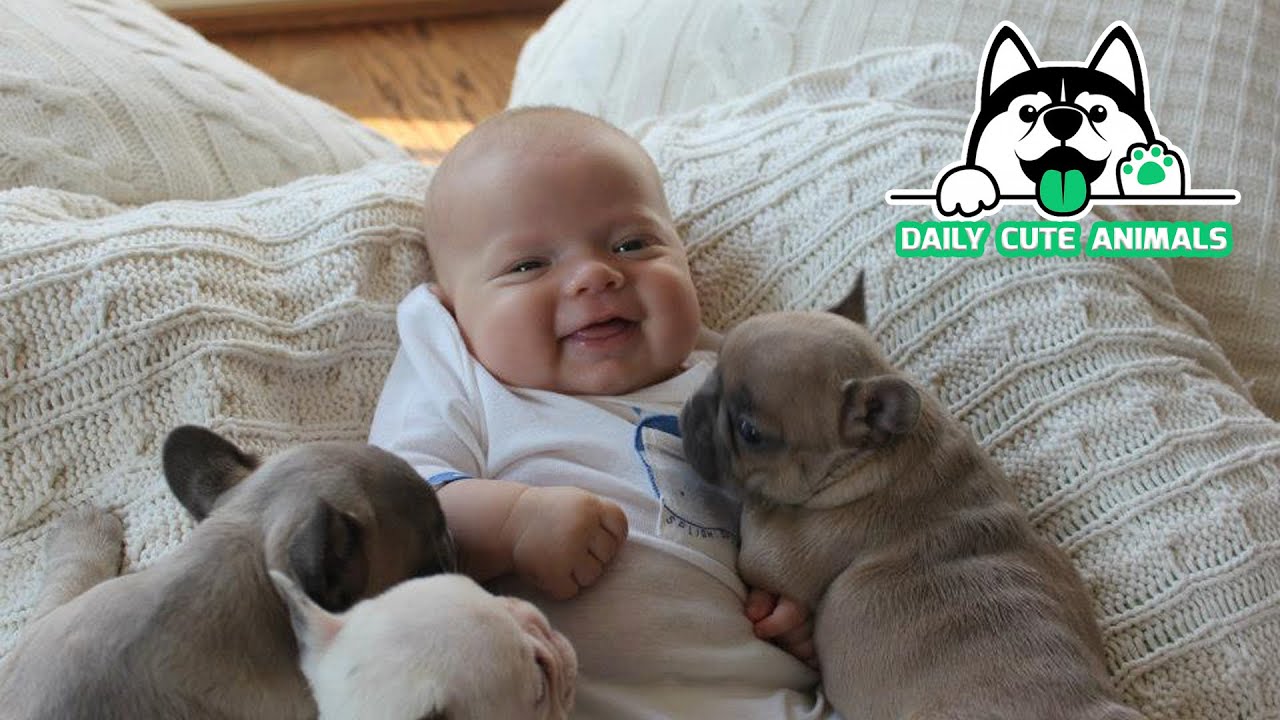 This Is Why Your Baby Need To Have A Pet Daily Cute Animals YouTube