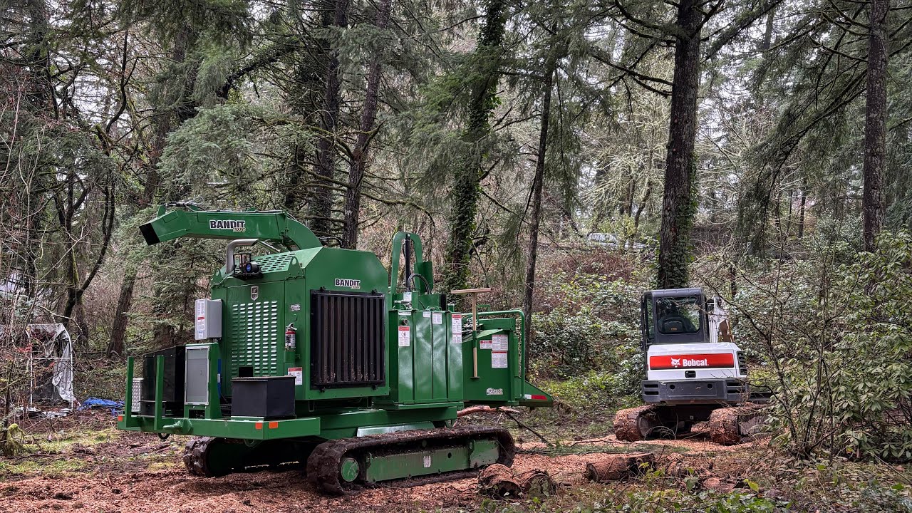 Chipper Logging Bandit 19xpc tracked chipper chipping 17 inch log - YouTube