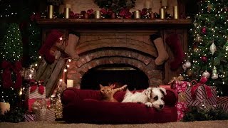 Preview - A Very Happy Yule Log - Hallmark Movies & Mysteries - Youtube