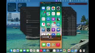 Enable Activation Gestures for Braille Screen Input on Iphone