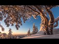 Снежная нежность!!! Сборник потрясающе красивых зимних мелодий Александра Лесникова