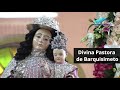 14 de enero | Fiesta de la Divina Pastora #AzulejoDigital