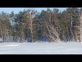 Лыжный поход по Васюганскому болоту.