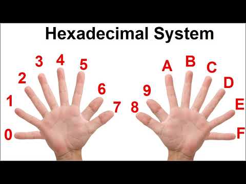 Курс Программирования Встраиваемых Систем Урок 1 - Счёт Курс Программирования Встраиваемых Систем Урок 1 - Счёт