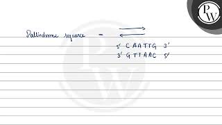 Match each term on the right with the definition on the left. ....