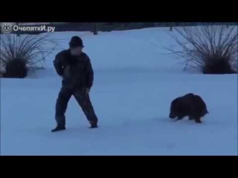 Прикол #12 ручной кабанёнок