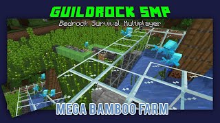 Massive Bamboo Farm: Allay Collection, Flying Machine Powered - GuildRock SMP Season 6 Episode 25
