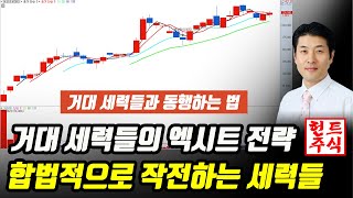 합법적으로 작전하는 거대 세력들