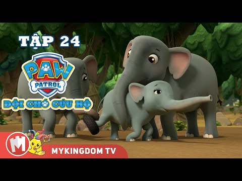 ĐỘI CHÓ CỨU HỘ PAW PATROL MINI | Tập 24: Giải Cứu Chú Voi Buồn Bã | Phim hoạt hình