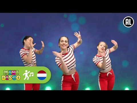 Kinderliedjes | Video | Dans | HOKEY COKEY | Minidisco | DD Company