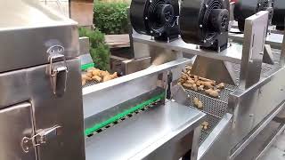 Industrial Fruit & Vegetable Bubble Washing Machine | Automatic Commercial Food Cleaning Equipment