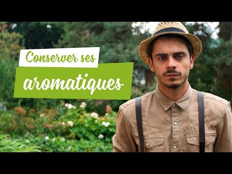 Vidéo: Comment Conserver L'aneth