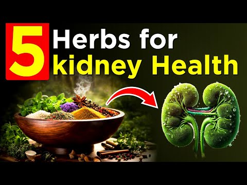 Ayurvedic Medicine for Kidney | Karma Ayurveda Reviews | Kidney Expert USA | #karmaayurveda #kidney