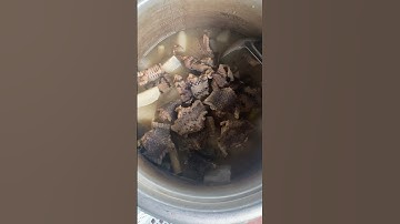 Rắn hổ vện hầm sả #shots #shortvideo