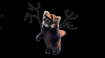 How to get breaking Reggie in find the red panda