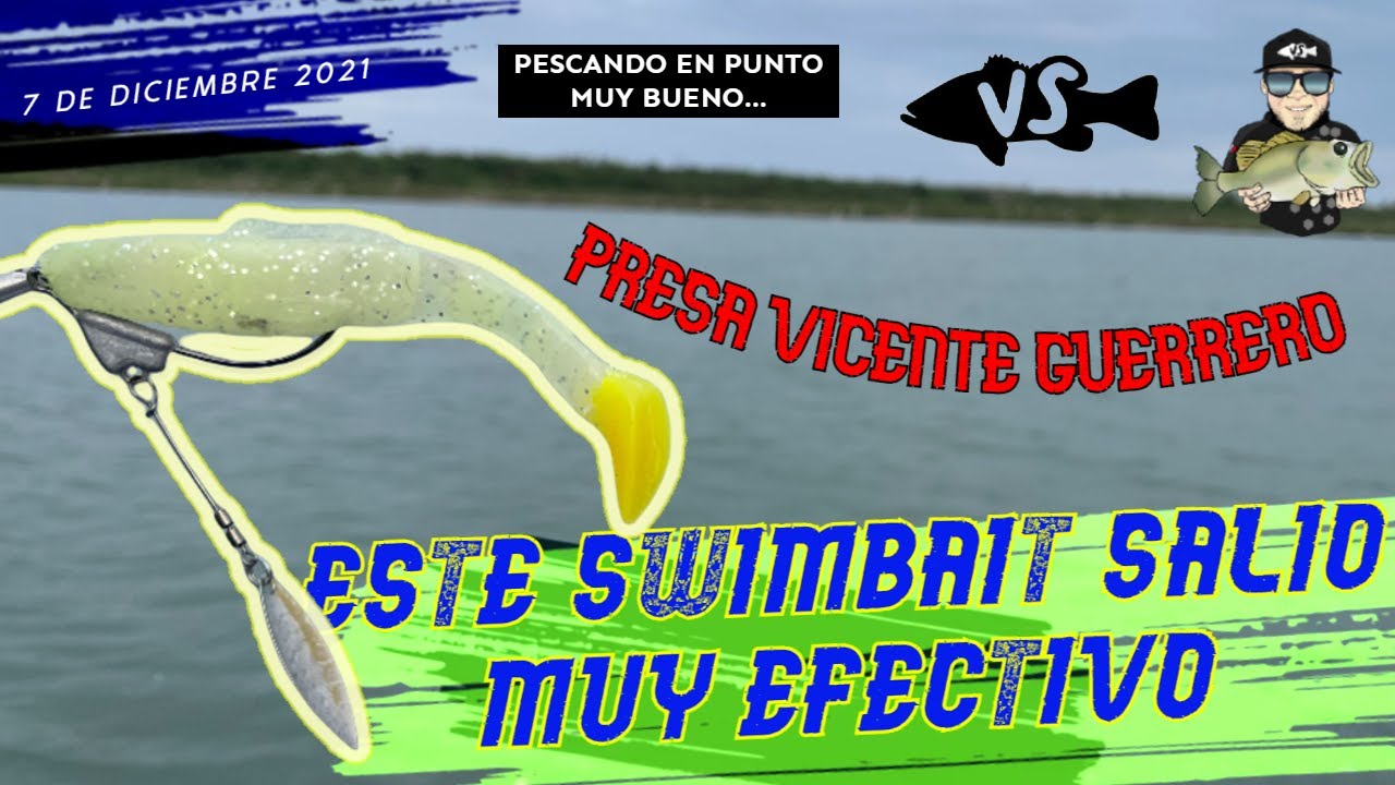 Dos tiros, dos Bass- Pescando con SWIMBAIT