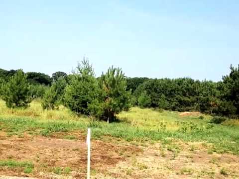 1 Tree Top Trail, Little Falls, MN home video tour